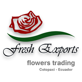 Fresh Exports