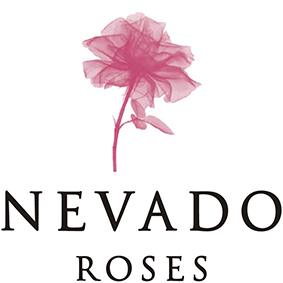 Nevado Roses