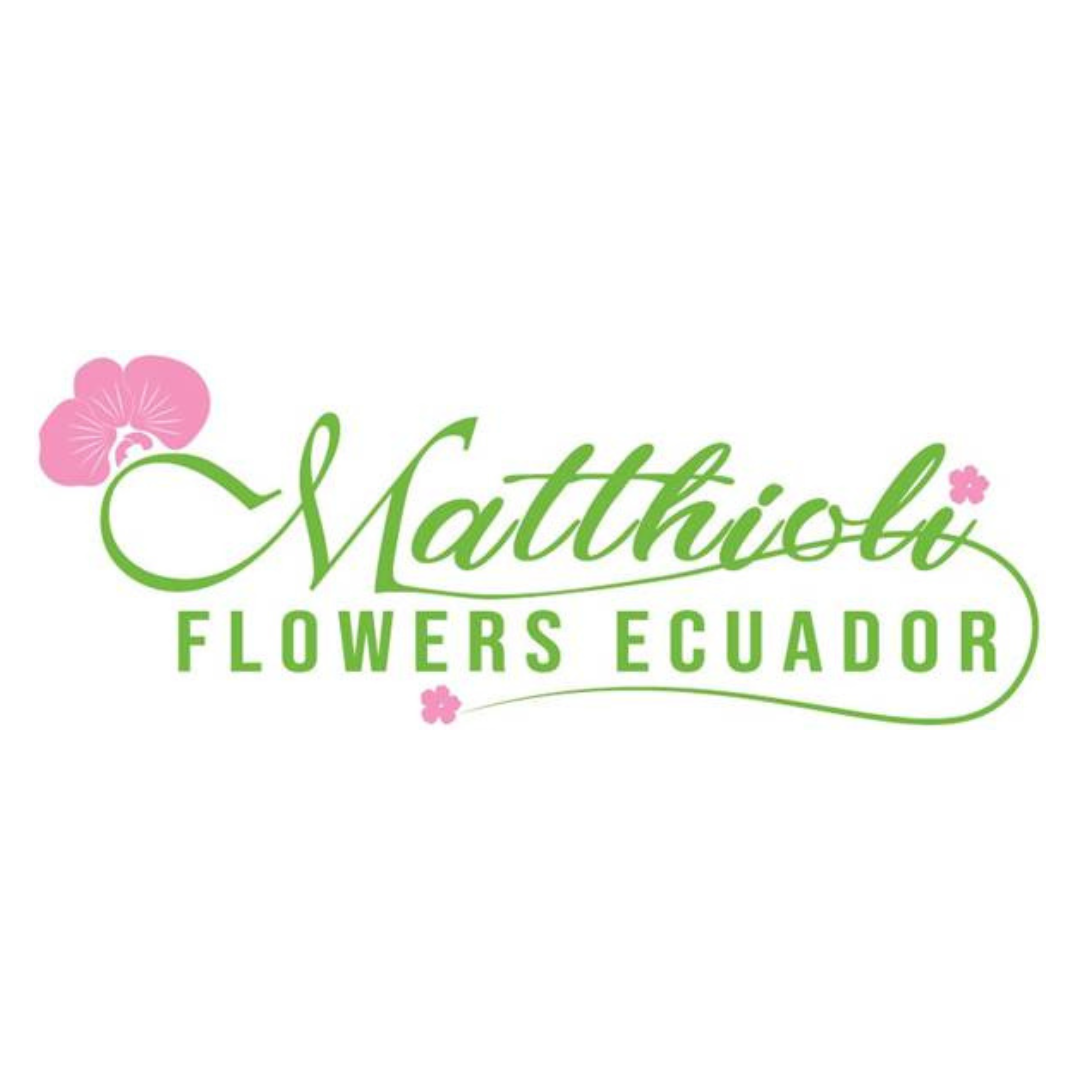Matthioli Flowers