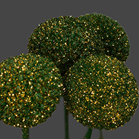 CRASPEDIA GREEN & GOLD GLITTER