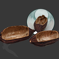 CACAO PODS DRY MOCHA
