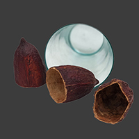 CACAO PODS DRY POTS