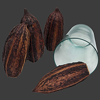CACAO PODS DRY SKIN