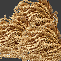 HEL.CARIOCA DRY BLEACHED