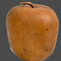 JUNGLE APPLE