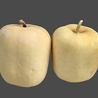 JUNGLE APPLE BLEACHED